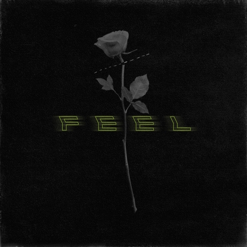 Perceptions - Feel (EP) (2019)