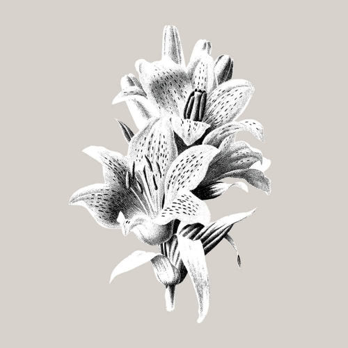 Sannhet - Short Life (Single) (2019)