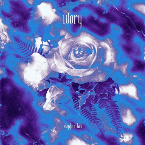 ElephantTalk - Ivory (2019)
