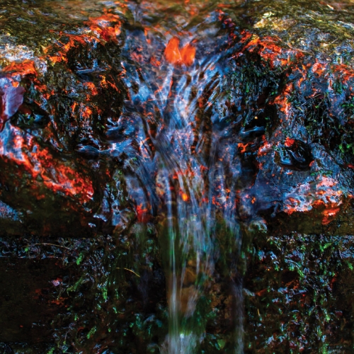 Duellists - Into the Fade (2019)