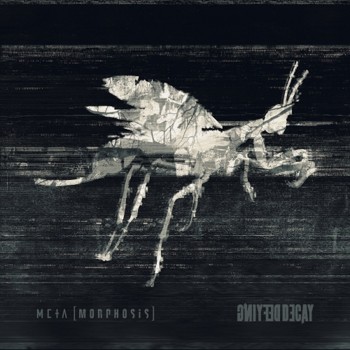 Defying Decay - Metamorphosis (2019)