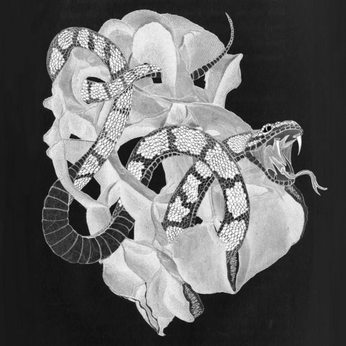 Ali Gordon - Coatlicue (2019)