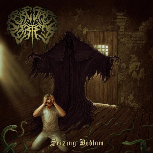 Cerebral Cortex - Seizing Bedlam (2019)