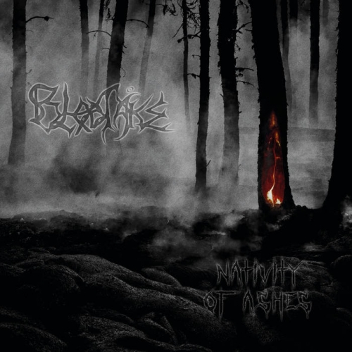 Blodtake - Nativity of Ashes (2020)