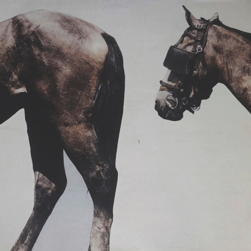 Caution Boy - Vice Versa (2019)