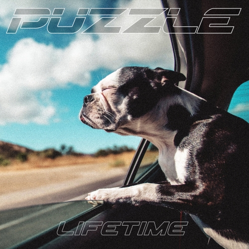Puzzle - Lifetime (2019)
