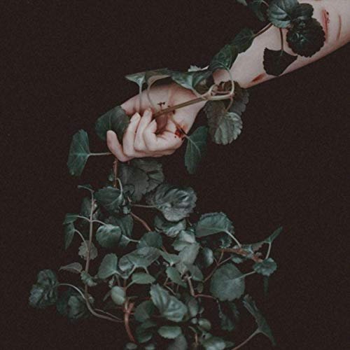 Nothing Gold - Suffering In My Sleep (2019)