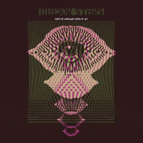 Major Stars - Roots of Confusion Seeds of Joy (2019)