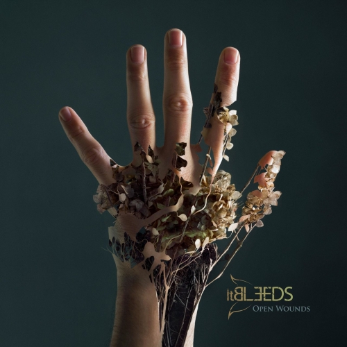 It Bleeds - Open Wounds (2019)
