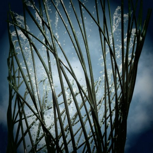 Lee Rogers - Monolith (2019)