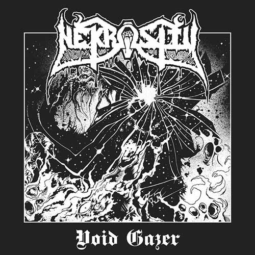 Nekrosity - Void Gazer (2019)