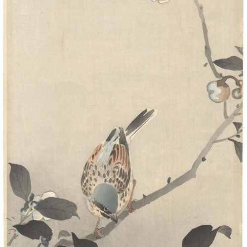 The Shaking Sensations - How Are We to Fight the Blight? (2019)