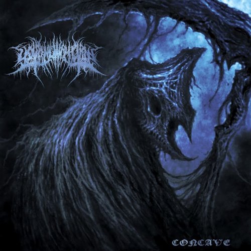 Your New Phobia - Concave (2019)