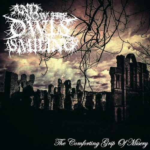 And Now the Owls Are Smiling - The Comforting Grip of Misery (2019)
