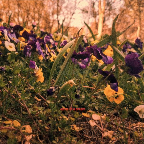 Afriqve - Ashes Of A Dream (2019)