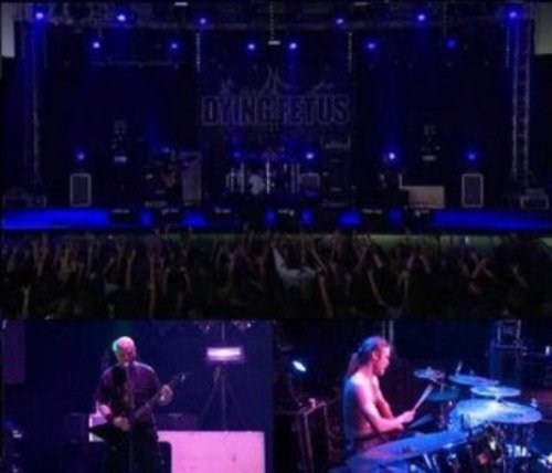 Dying Fetus - Live At Graspop (2008)