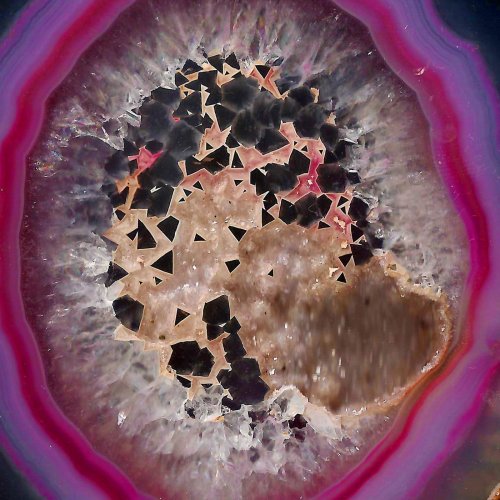 Laso - Magenta (2019)