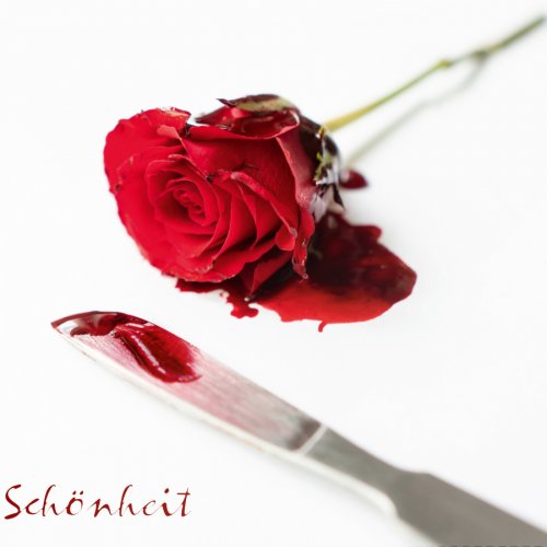 Maschinist - Schönheit (2019)