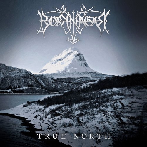 Borknagar - Discography (1996 - 2019)