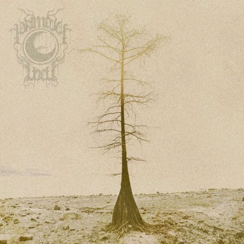 Primeval Well - Primeval Well (2019)