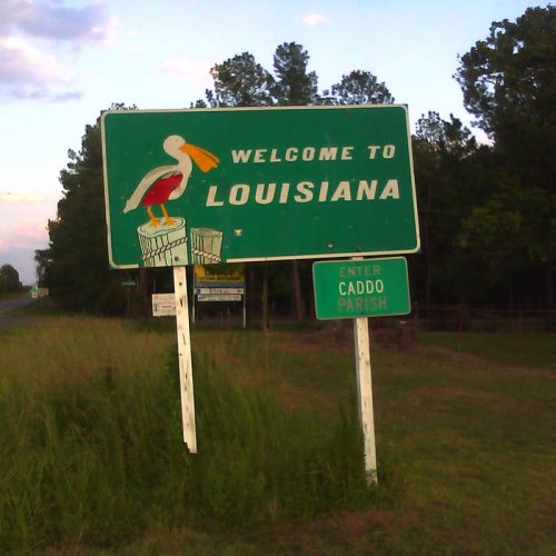 John Calvin - A Union of Confident Injustice (2019)