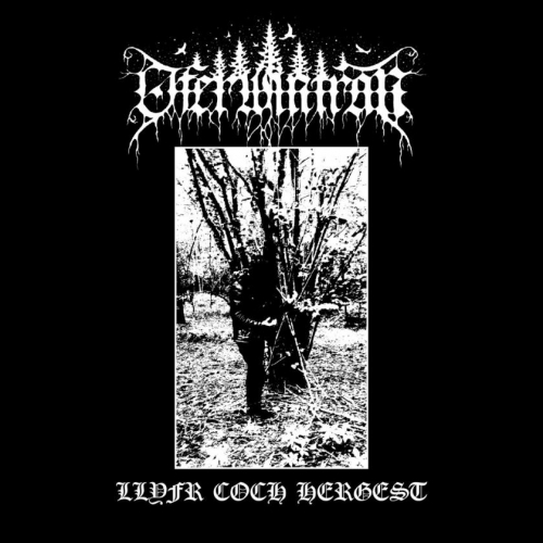 Oferwintran - Llyfr Coch Hergest (2019)