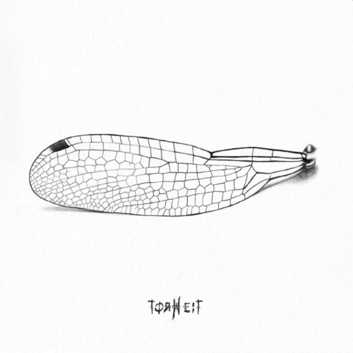 Torheit - Torheit (2019)