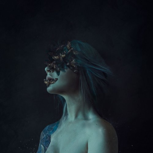 Chasing Desolation - The Moth Collection (2020)