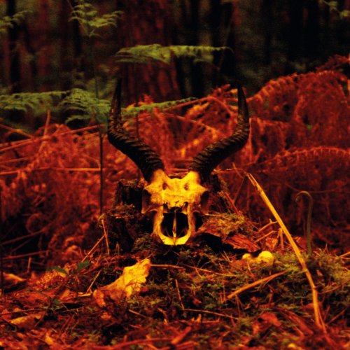 Muddy Leaf - Distorded & Wild (2020)