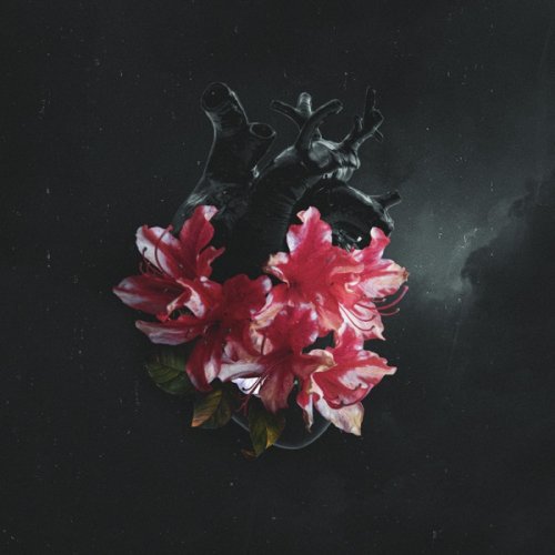 Instilled In Me - The Shape Of Life (2020)