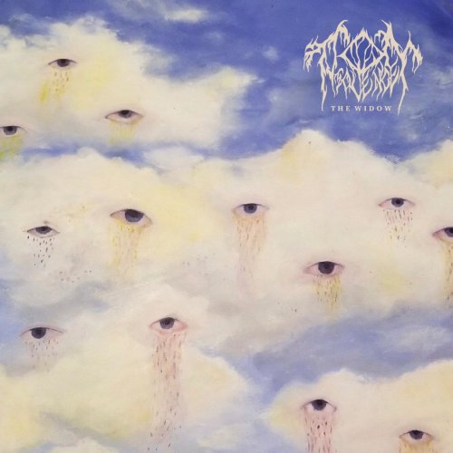 Tom Violence - The Widow (2020)