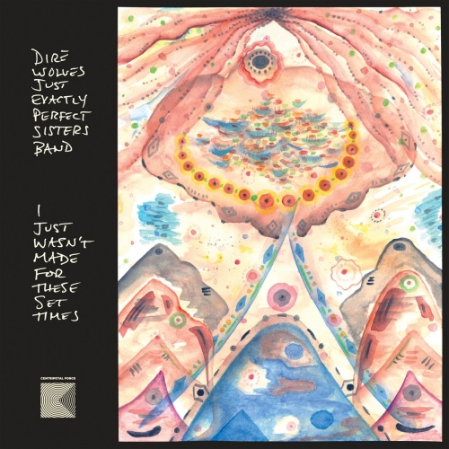 Dire Wolves - I Just Wasn't Made for These Set Times (2020)