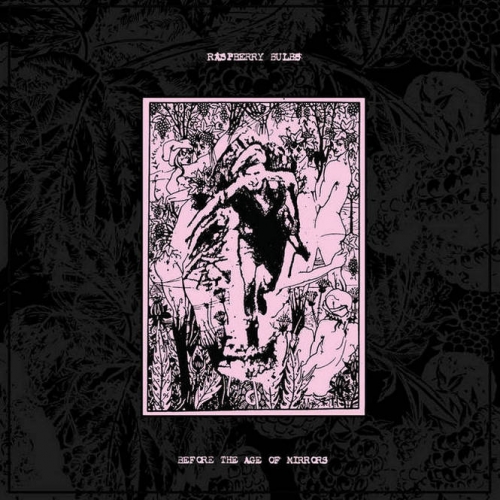 Raspberry Bulbs - Before the Age of Mirrors (2020)