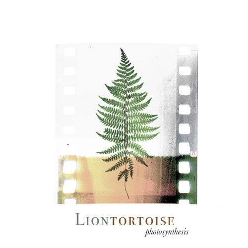 Liontortoise - Photosynthesis (EP) (2020)