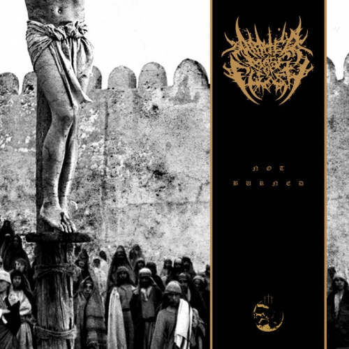 Abated Mass of Flesh - Not Burned (EP) (2020)