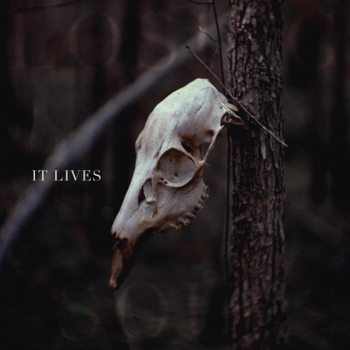 Losing Soul - It Lives (2020)