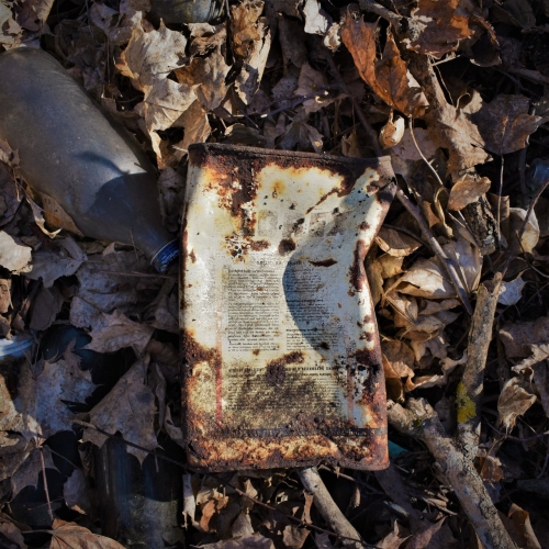 Noodles for My Poodles - We're Back in Greasytown (2020)