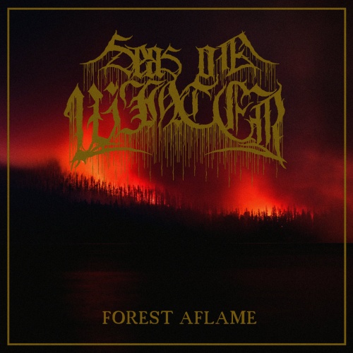 Seas of Winter - Forest Aflame (2020)