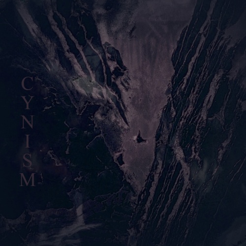 Rawrorr - Cynism (2020)