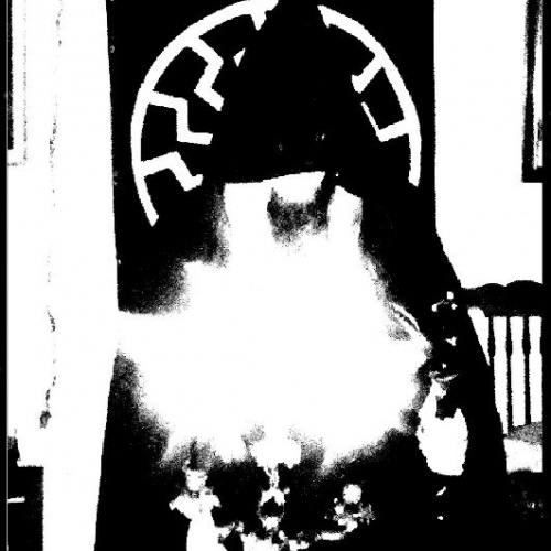 Gothayr - The Trial For The Black Sun (Chapter Of Ariosophic Violence) (2020)