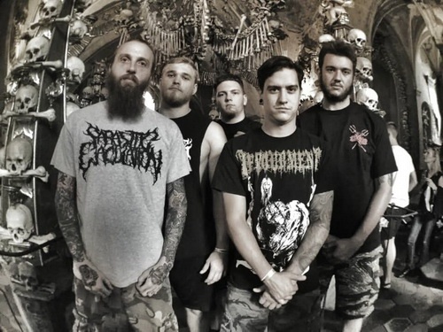 No Zodiac - Discography (2010-2017)