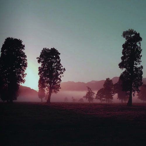 Crimson Oak - Crimson Oak (2020)