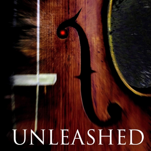 Violin Shredder - Unleashed (2020)