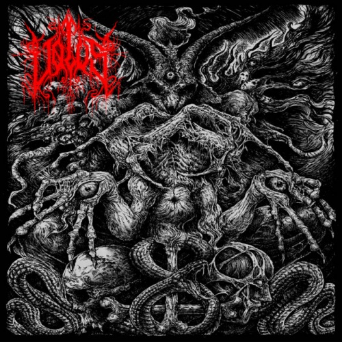 Vølus - Festering Anti-Cosmic Wound (2020)