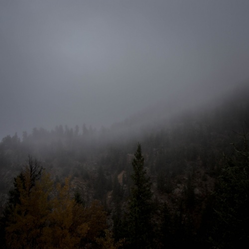 Agowilt - Agowilt (2020)