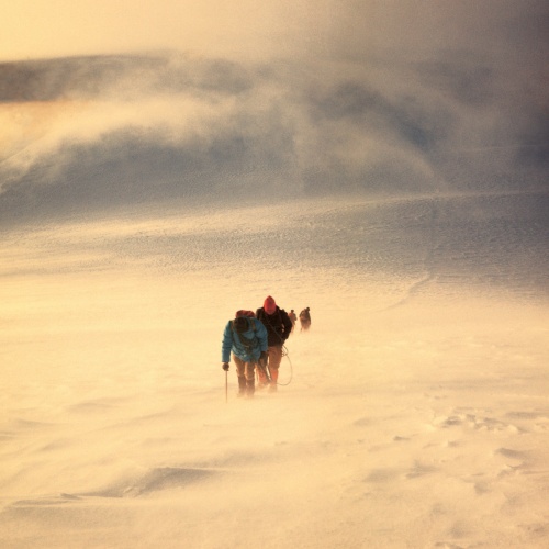 Concrete Mountain – HAZEDAZED (2020)