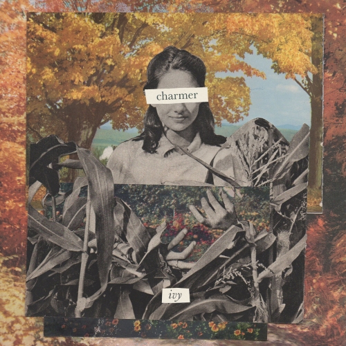 Charmer - Ivy (2020)