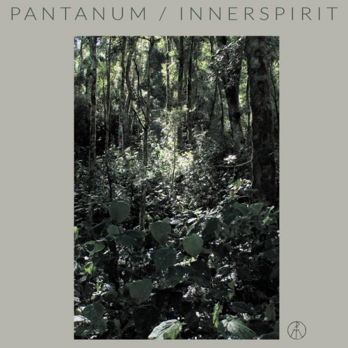Pantanum - Innerspirit (2020)