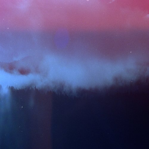 Mute Forest - Riderstorm (2020)