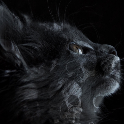 Beard Jitsu - Beard Jitsu (EP) (2020)